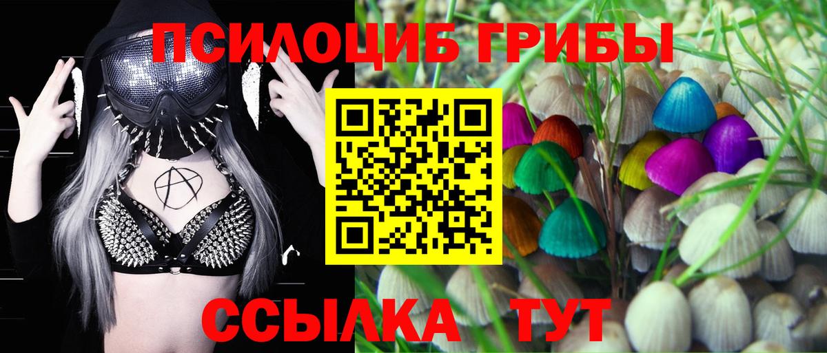 Галлюциногенные грибы Psilocybe  Вход с VPN  что такое наркотик  Строитель 